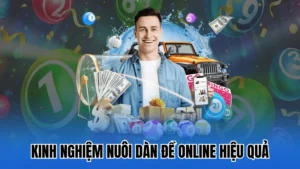 Kinh nghiệm nuôi dàn đề trực tuyến